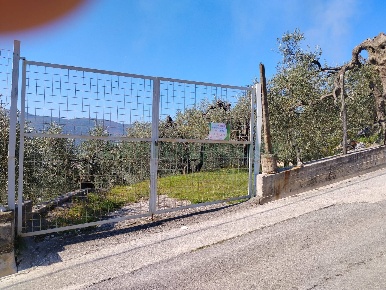 Foto Terreno agricolo in sirignano, Sirignano di 1126 m² in vendita