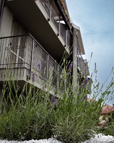 Foto Appartamento in Via Mazzini 37, Rivoli Centro Storico di 102 m²