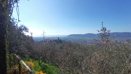 Foto Casa indipendente in Via Provinciale, Castelnuovo Magra Centro
