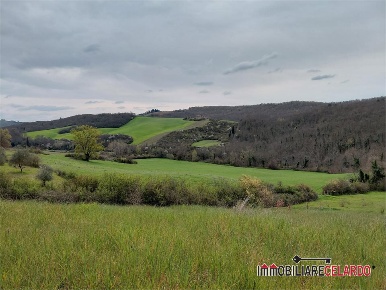 Foto Terreno a Poggibonsi Centro di 17400 m² in vendita