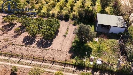 Foto Terreno agricolo in Località Santu Lussurgiu, Tortolì di 2520 m²