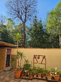 Foto Appartamento a Livorno Cisternone di 100 m² con 4 locali in vendita