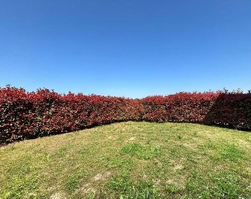 Foto Appartamento a Capannoli di 75 m² con 3 locali in vendita