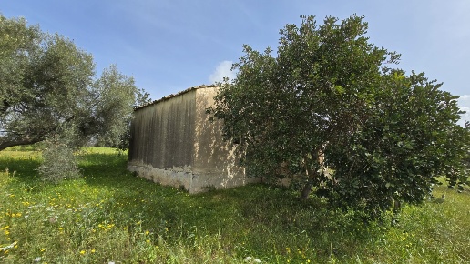 immagine annuncio 11 di 15