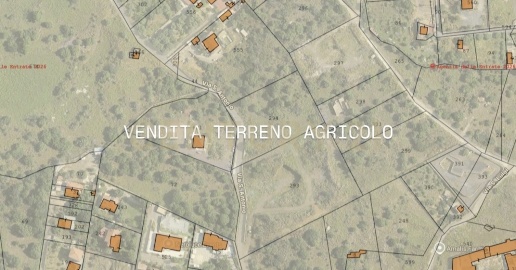 Foto Terreno agricolo in Via San Antonio 2, Camporotondo Etneo di 5470 m²