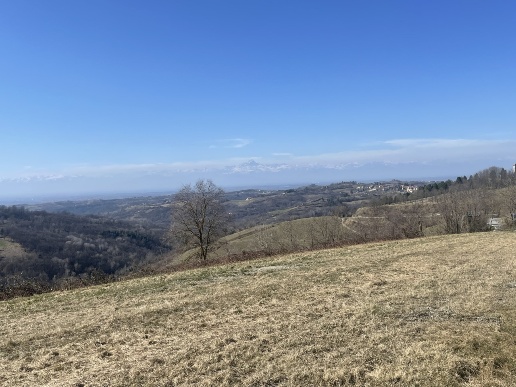 immagine annuncio 4 di 12