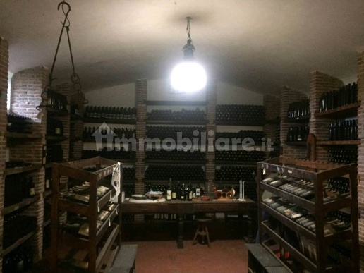 immagine annuncio 11 di 14