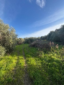Foto Terreno agricolo a Santa Flavia Bellacera di 2527 m² in vendita
