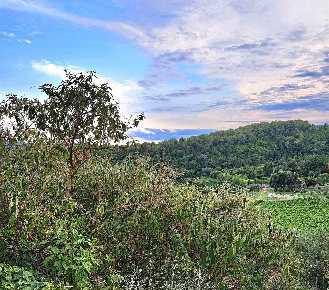 Foto Terreno agricolo a Piancastagnaio Centro di 32180 m² in vendita
