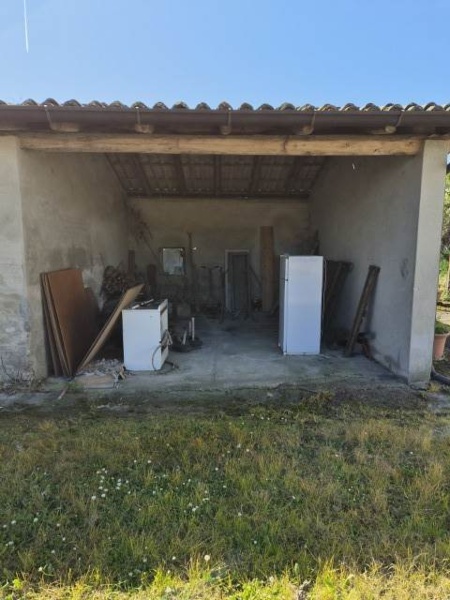 immagine annuncio 11 di 13