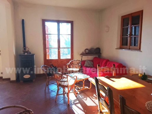 immagine annuncio 2 di 12