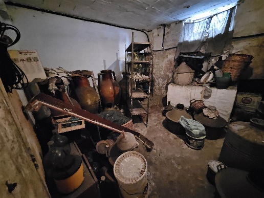 immagine annuncio 10 di 12