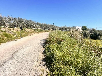 Foto Terreno agricolo in C.da Bordea, Sciacca Località Scunchipani