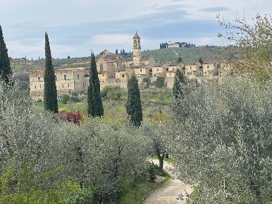 Foto Rustico in Piazza Acciaiuoli, Firenze Galluzzo di 180 m² con 6 locali
