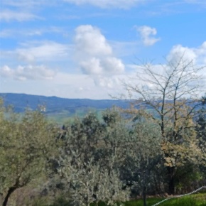 Foto Terreno agricolo a Volterra Centro di 9000 m² in vendita