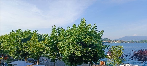 Foto Appartamento a Arona Centro di 140 m² con 5 locali in affitto