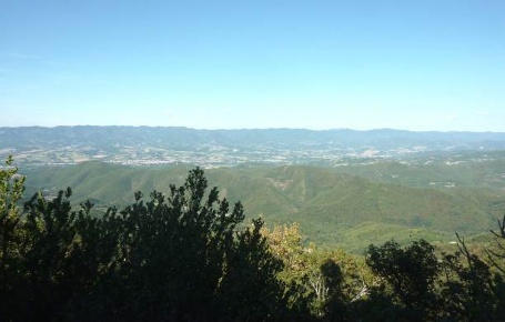 Foto Terreno edificabile a Ortignano Raggiolo San Piero di 50270 m²