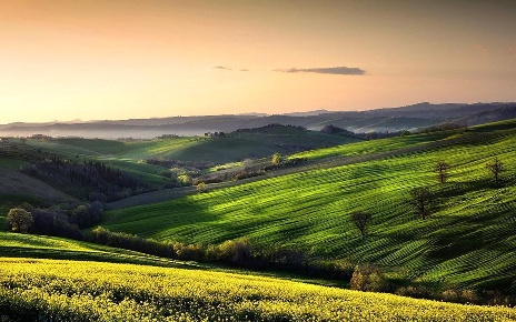 Foto Rustico in Via Casone, Montefano di 220 m² con 8 locali in vendita