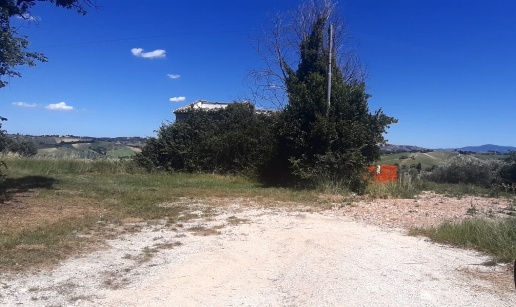 immagine annuncio 4 di 9