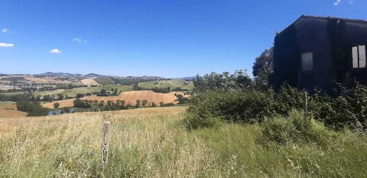 immagine annuncio 5 di 9