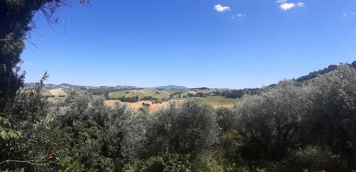 immagine annuncio 7 di 9