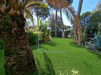 Foto Villa bifamiliare a Camaiore Lido di Camaiore di 220 m² con 8 locali