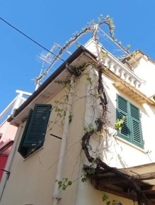 Foto Appartamento a Massa Centro di 60 m² con 3 locali in vendita