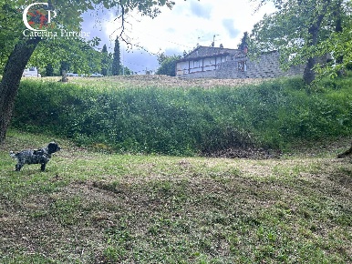 Foto Casa indipendente in località Caprile snc, San Godenzo di 100 m²