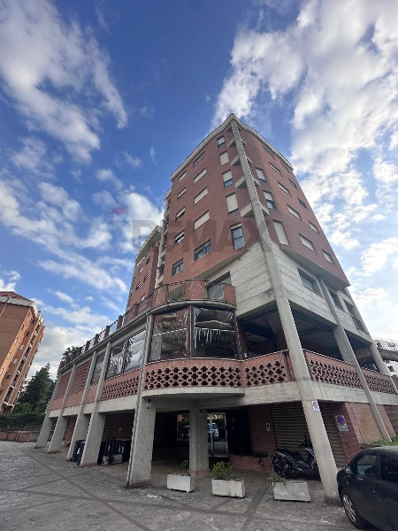 immagine annuncio 2 di 12