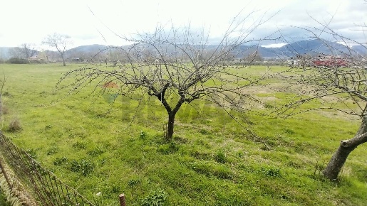 Foto Terreno agricolo in località cerro snc, Padula di 13000 m² in vendita