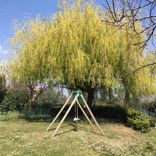 immagine annuncio 13 di 15