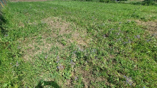 Foto Terreno residenziale a Marcianise di 940 m² in vendita