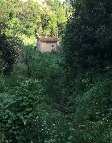 Foto Rustico a Arcola Centro di 30 m² con 2 locali in vendita