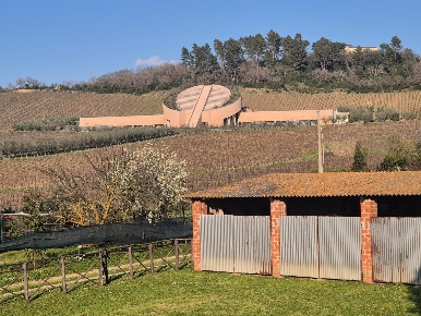 Foto Case semi ndipendenti a Suvereto di 90 m² con 5 locali in vendita