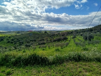 Foto Terreno agricolo in Contrada Giannavì- Contrada Ciappa, in vendita