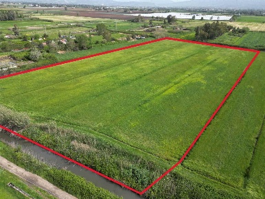 Foto Terreno agricolo in sp264, Sessa Aurunca Baia Domizia di 8360 m²