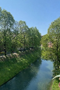 Foto Appartamento in via Savonarola  91, Padova Savonarola - Ponte Molino