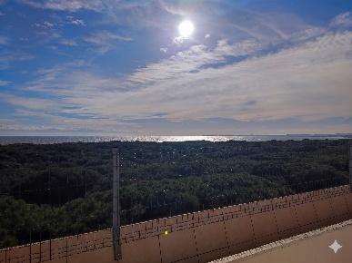 Foto Appartamento a Eraclea Eraclea Mare di 54 m² con 3 locali in vendita