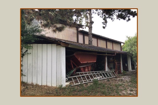 immagine annuncio 4 di 11