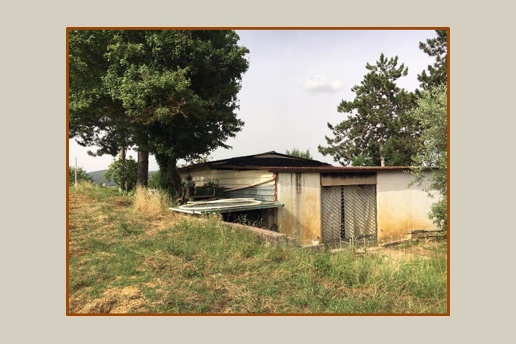 immagine annuncio 5 di 11