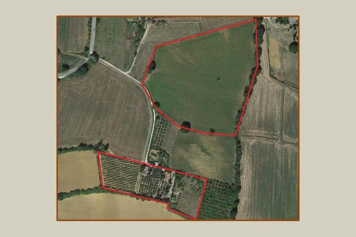 immagine annuncio 6 di 11