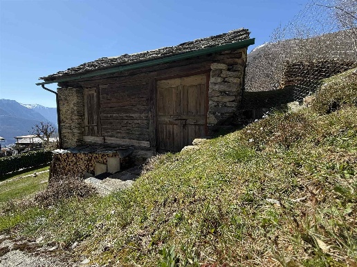 immagine annuncio 14 di 15