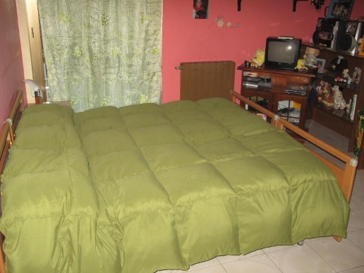 immagine annuncio 5 di 13