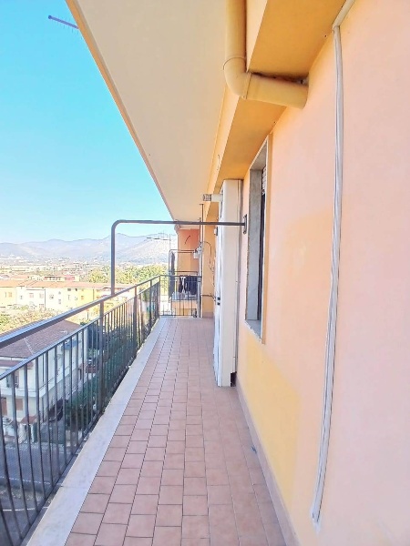 immagine annuncio 7 di 14