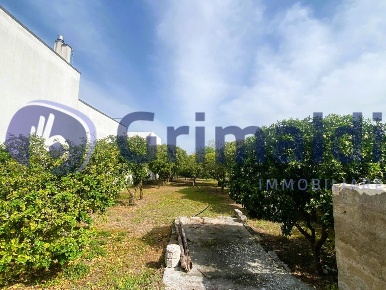 Foto Terreno agricolo in Via Santa Lucia 44, Scorrano di 816 m² in vendita