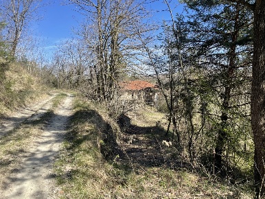 Foto Rustico in frazione luzzi, Bossolasco di 260 m² con 10 locali