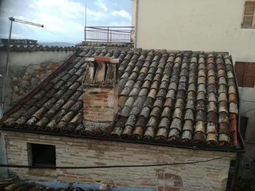 immagine annuncio 7 di 8