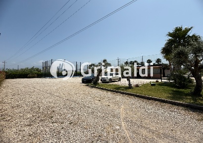 Foto Attività commerciale in Via sp312 19, Battipaglia di 4000 m²