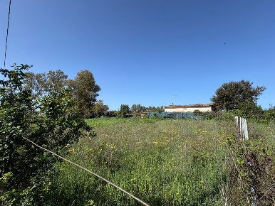 Foto Terreno agricolo in Via turano snc, Aprilia Fossignano di 979 m²