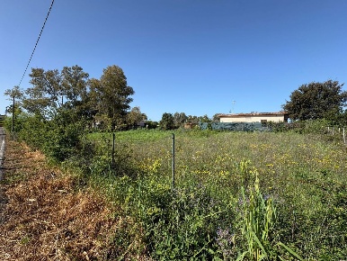 Foto Terreno agricolo in Via turano snc, Aprilia Fossignano di 980 m²